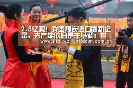 2.8亿吨！我国煤炭进口刷新纪录，去产能